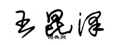 朱錫榮王昆澤草書個性簽名怎么寫