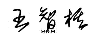朱錫榮王智棋草書個性簽名怎么寫