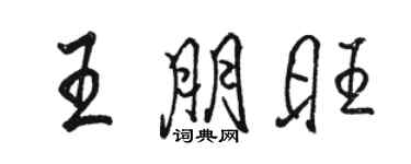駱恆光王朋旺行書個性簽名怎么寫