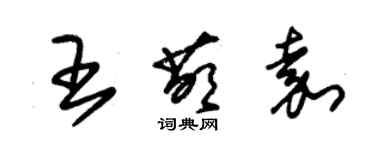 朱錫榮王萌嘉草書個性簽名怎么寫