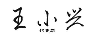 駱恆光王小興行書個性簽名怎么寫