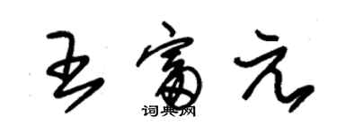 朱錫榮王富元草書個性簽名怎么寫