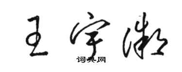 駱恆光王宇微草書個性簽名怎么寫