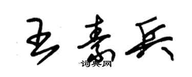 朱錫榮王素兵草書個性簽名怎么寫