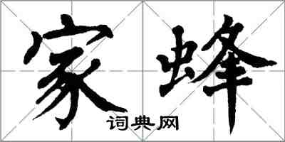 翁闓運家蜂楷書怎么寫