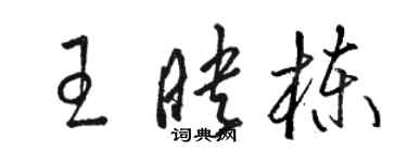 駱恆光王映棟草書個性簽名怎么寫