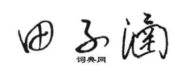 駱恆光田子涵草書個性簽名怎么寫