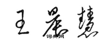 駱恆光王晨慧草書個性簽名怎么寫