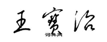 梁錦英王寶治草書個性簽名怎么寫