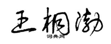 曾慶福王桐渤草書個性簽名怎么寫