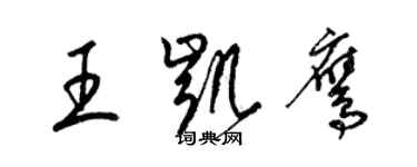 梁錦英王凱鷹草書個性簽名怎么寫