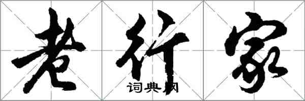 胡問遂老行家行書怎么寫