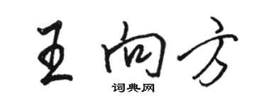 駱恆光王向方行書個性簽名怎么寫
