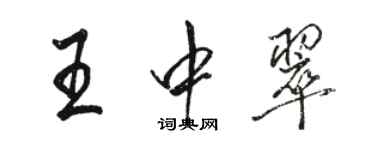 駱恆光王中翠行書個性簽名怎么寫