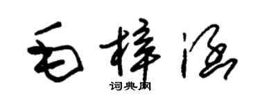 朱錫榮毛梓涵草書個性簽名怎么寫