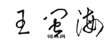 駱恆光王閩海草書個性簽名怎么寫