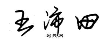 朱錫榮王沛田草書個性簽名怎么寫