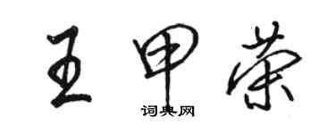 駱恆光王甲榮行書個性簽名怎么寫