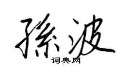 王正良孫波行書個性簽名怎么寫