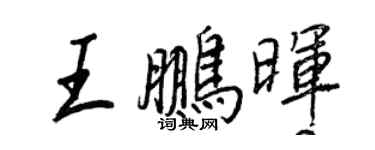 王正良王鵬暉行書個性簽名怎么寫