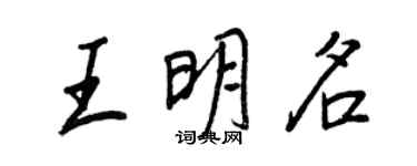 王正良王明名行書個性簽名怎么寫