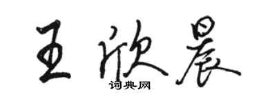 駱恆光王欣晨行書個性簽名怎么寫