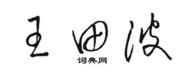 駱恆光王田波草書個性簽名怎么寫