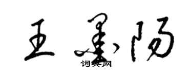 梁錦英王墨陽草書個性簽名怎么寫