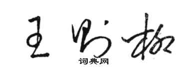 駱恆光王則柳草書個性簽名怎么寫