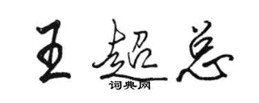 駱恆光王超總行書個性簽名怎么寫