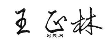 駱恆光王正林行書個性簽名怎么寫