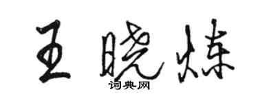 駱恆光王曉煉行書個性簽名怎么寫