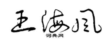 曾慶福王海風草書個性簽名怎么寫