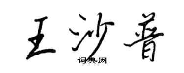 王正良王沙普行書個性簽名怎么寫