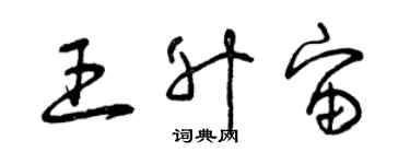 曾慶福王升宙草書個性簽名怎么寫