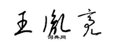 梁錦英王胤亮草書個性簽名怎么寫