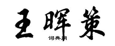 胡問遂王暉策行書個性簽名怎么寫