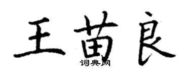 丁謙王苗良楷書個性簽名怎么寫