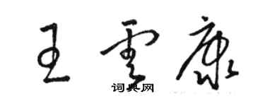 駱恆光王雲康草書個性簽名怎么寫