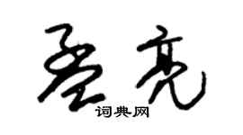 朱錫榮孟亮草書個性簽名怎么寫