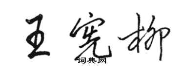 駱恆光王憲柳行書個性簽名怎么寫