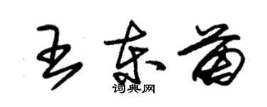 朱錫榮王東苗草書個性簽名怎么寫