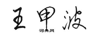 駱恆光王甲波行書個性簽名怎么寫