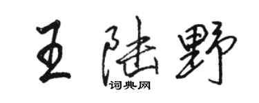 駱恆光王陸野行書個性簽名怎么寫