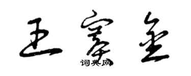 曾慶福王賽金草書個性簽名怎么寫