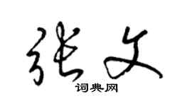 梁錦英張文草書個性簽名怎么寫