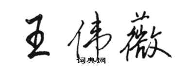 駱恆光王偉薇行書個性簽名怎么寫