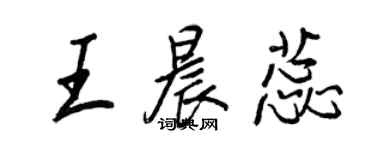 王正良王晨蕊行書個性簽名怎么寫