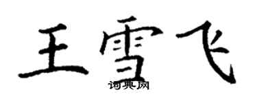 丁謙王雪飛楷書個性簽名怎么寫