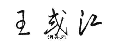 駱恆光王或江草書個性簽名怎么寫